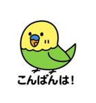 なるインコ♡日常編（ご挨拶1）（個別スタンプ：4）