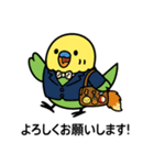 なるインコ♡日常編（ご挨拶1）（個別スタンプ：6）