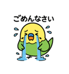 なるインコ♡日常編（ご挨拶1）（個別スタンプ：15）