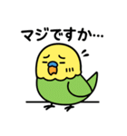 なるインコ♡日常編（ご挨拶1）（個別スタンプ：17）