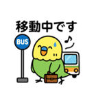 なるインコ♡日常編（ご挨拶1）（個別スタンプ：22）