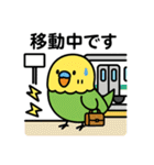 なるインコ♡日常編（ご挨拶1）（個別スタンプ：23）