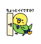 なるインコ♡日常編（ご挨拶1）（個別スタンプ：37）