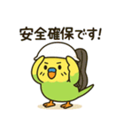 なるインコ♡日常編（ご挨拶1）（個別スタンプ：39）
