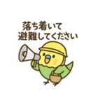 なるインコ♡日常編（ご挨拶1）（個別スタンプ：40）