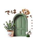 名入れ敬語の癒しダックス（個別スタンプ：34）