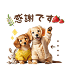 名入れ敬語の癒しダックス（個別スタンプ：38）