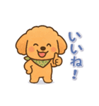 今日もトイプーさん（個別スタンプ：1）