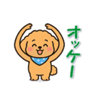 今日もトイプーさん（個別スタンプ：2）