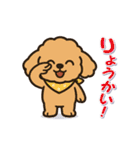 今日もトイプーさん（個別スタンプ：3）
