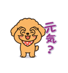今日もトイプーさん（個別スタンプ：7）