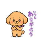 今日もトイプーさん（個別スタンプ：9）