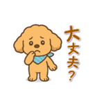 今日もトイプーさん（個別スタンプ：12）