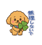 今日もトイプーさん（個別スタンプ：13）