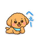 今日もトイプーさん（個別スタンプ：15）