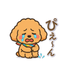 今日もトイプーさん（個別スタンプ：19）