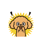 今日もトイプーさん（個別スタンプ：20）
