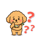 今日もトイプーさん（個別スタンプ：21）