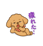 今日もトイプーさん（個別スタンプ：22）