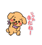 今日もトイプーさん（個別スタンプ：24）