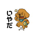トイプードル8(エイト)（個別スタンプ：3）