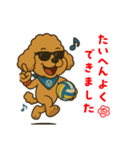 トイプードル8(エイト)（個別スタンプ：11）