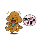 トイプードル8(エイト)（個別スタンプ：13）