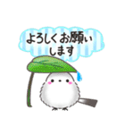 【初夏】まるふわシマエナガ♡大人の気遣い（個別スタンプ：12）