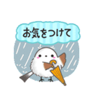 【初夏】まるふわシマエナガ♡大人の気遣い（個別スタンプ：21）