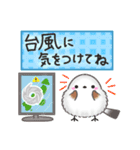 【初夏】まるふわシマエナガ♡大人の気遣い（個別スタンプ：23）