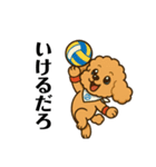トイプードル8会話（個別スタンプ：1）