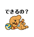 トイプードル8会話（個別スタンプ：4）
