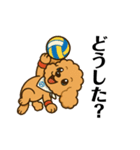 トイプードル8会話（個別スタンプ：5）