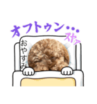 犬で作った（個別スタンプ：10）