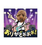 犬で作った（個別スタンプ：12）