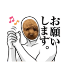 犬で作った（個別スタンプ：15）