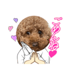 犬で作った（個別スタンプ：20）