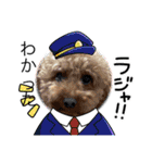 犬で作った（個別スタンプ：23）
