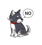 柴犬(黒色)（個別スタンプ：5）