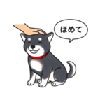 柴犬(黒色)（個別スタンプ：6）