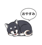 柴犬(黒色)（個別スタンプ：7）