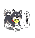 柴犬(黒色)（個別スタンプ：10）