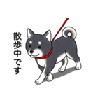 柴犬(黒色)（個別スタンプ：13）
