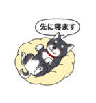 柴犬(黒色)（個別スタンプ：20）