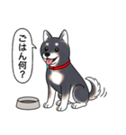 柴犬(黒色)（個別スタンプ：21）