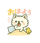しろいぬ 毎日使える 日常スタンプ（個別スタンプ：1）