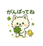 しろいぬ 毎日使える 日常スタンプ（個別スタンプ：3）