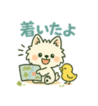 しろいぬ 毎日使える 日常スタンプ（個別スタンプ：5）