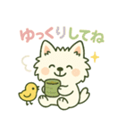 しろいぬ 毎日使える 日常スタンプ（個別スタンプ：11）