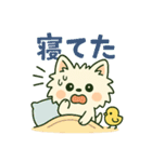 しろいぬ 毎日使える 日常スタンプ（個別スタンプ：12）